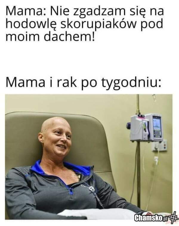 Skorupiaki