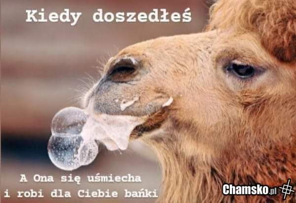 Po sexie