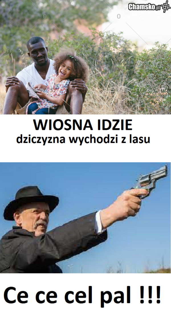 korwin królu