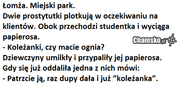 Przygody Grażyny z Łomży cz. LXXI