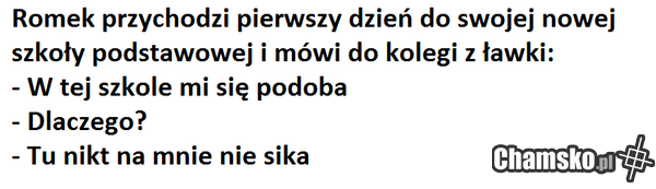 Przygody Romka z Łomży