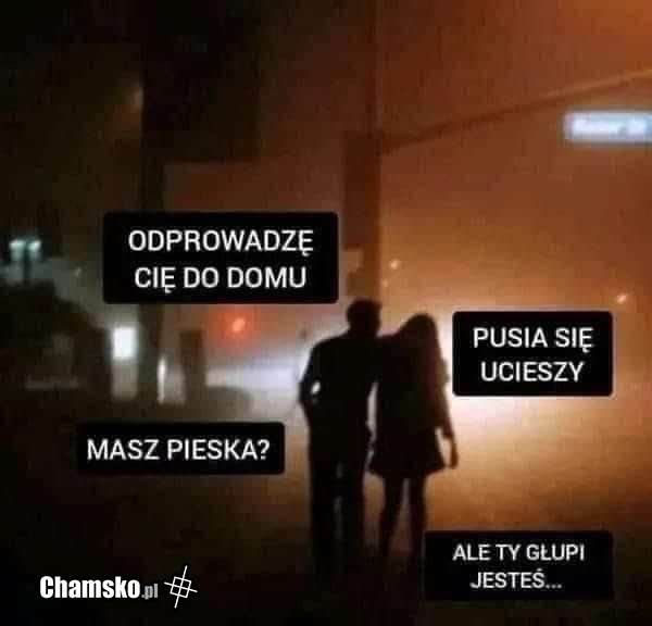 Pusia