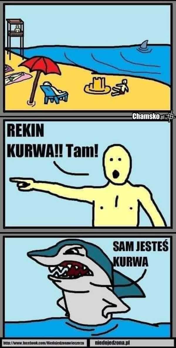 Rekin