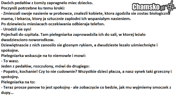 w łomży