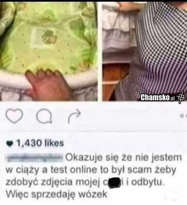 Test ciążowy