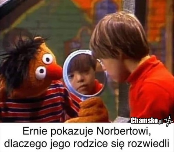 Rozwód