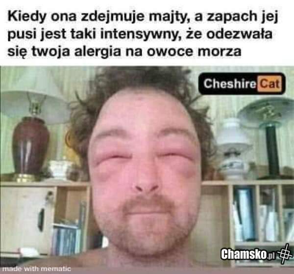 Śledzik
