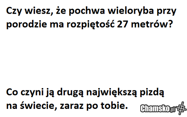 każdy wie