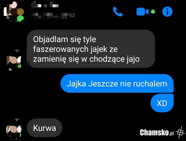 Jajco