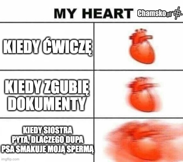 Moje serce