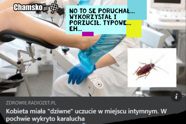 Zuch Maluszek. Dał radę.