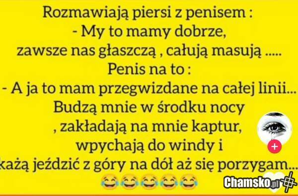 Rozmawiają piersi z penisem: