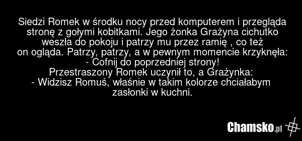 Siedzi Romek w środku nocy przed komputerem i przegląda stronę z gołymi kobitkami. Jego żonka Grażyna cichutko weszła do pokoju i patrzy mu przez ramię , co też on ogląda. Patrzy, patrzy, a w pewnym momencie krzyknęła: - Cofnij do poprzedniej strony! Przestraszony Romek uczynił to, a Grażynka: - Wi…