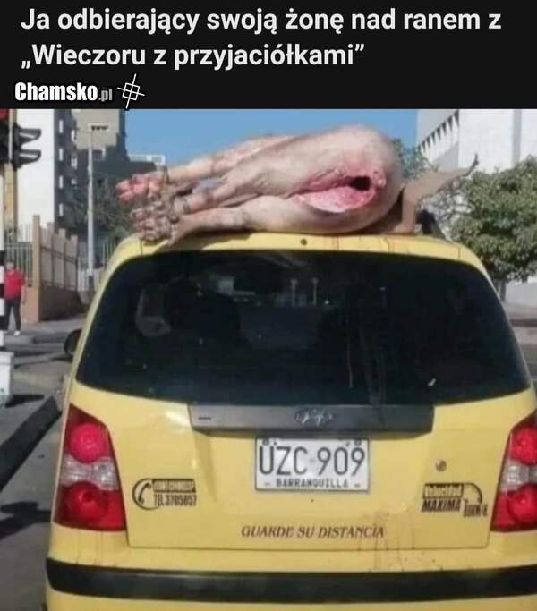 Twoja żona