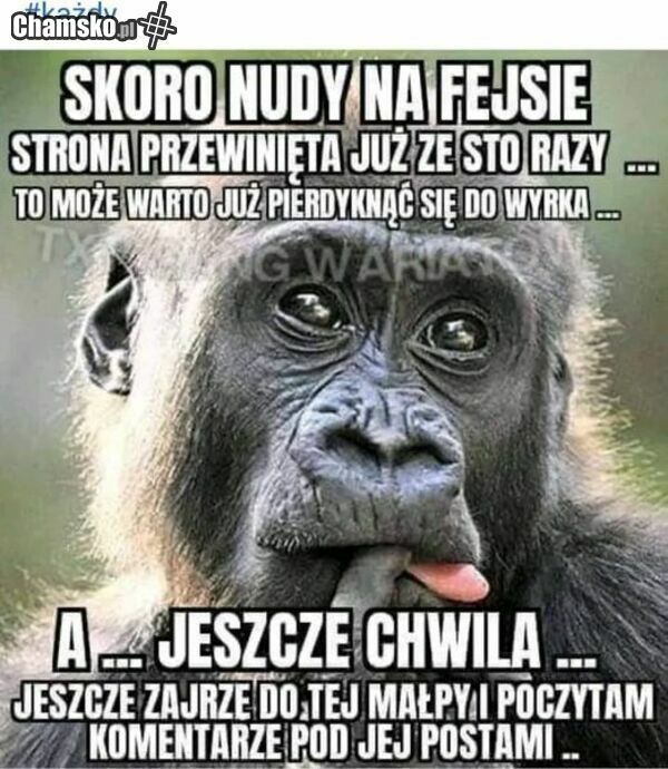 Nudy na fejsie.