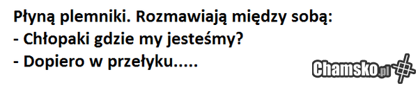 twoja stara sra do gara