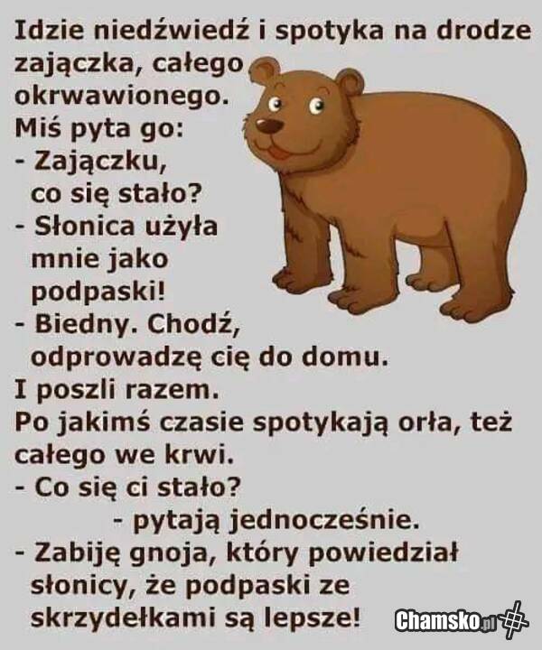Idzie niedźwiedź ...