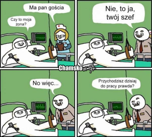 Szef