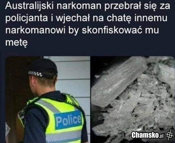Zajebisty mózg