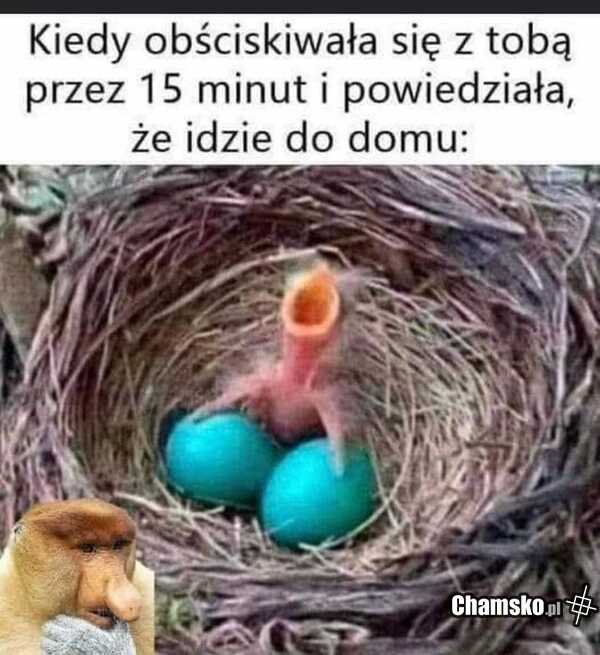 Gdy nie umoczysz