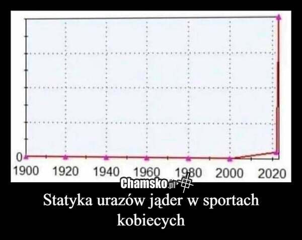 Statystyki