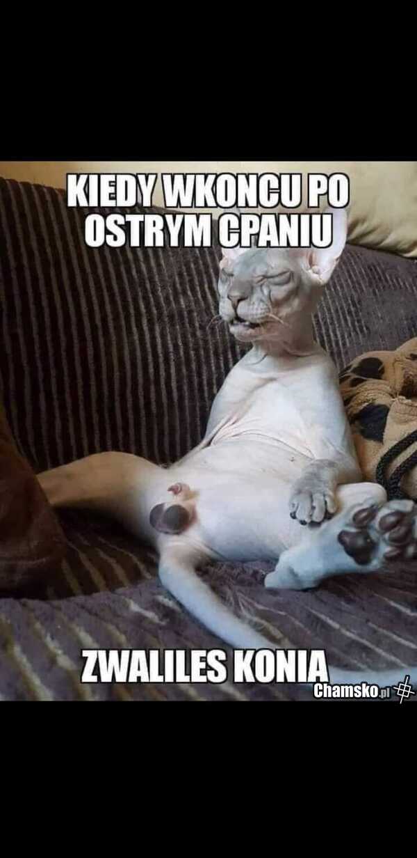 Trzepańsko