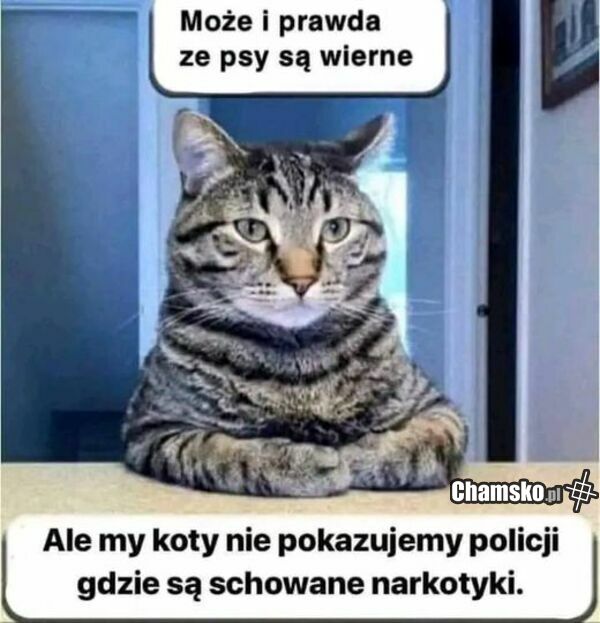 Może i prawda ...