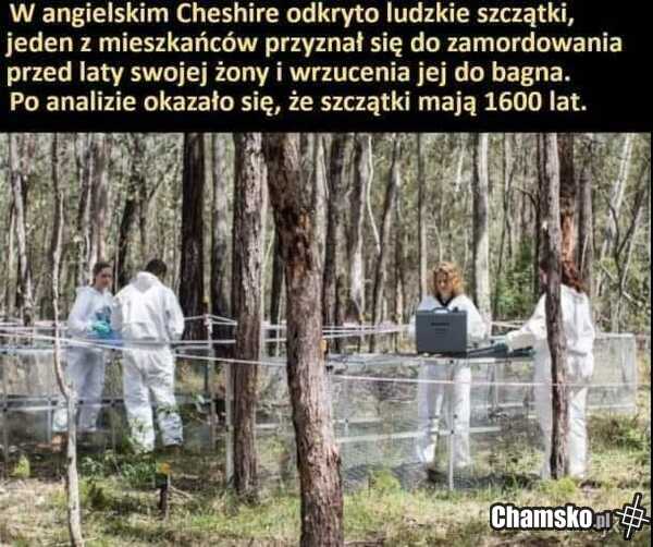 Co za kretyn
