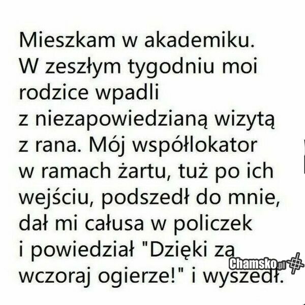 Akademik