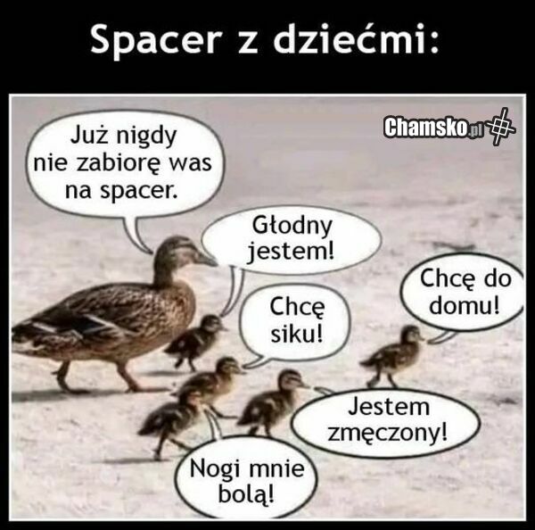 Spacer z dziećmi: