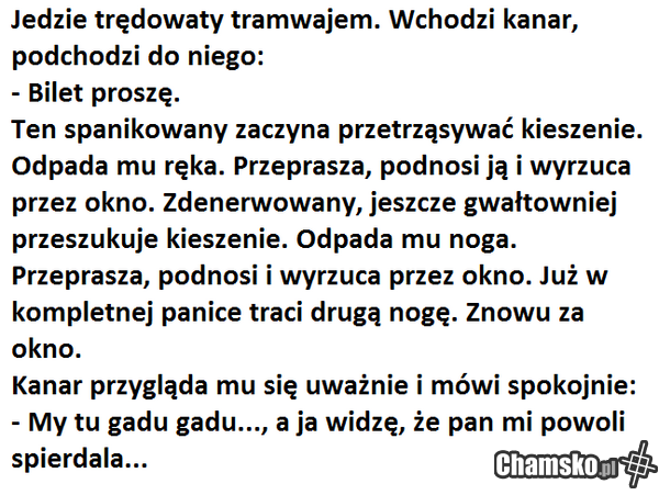 wszystkiew kanary TO SKUR*YSYNY