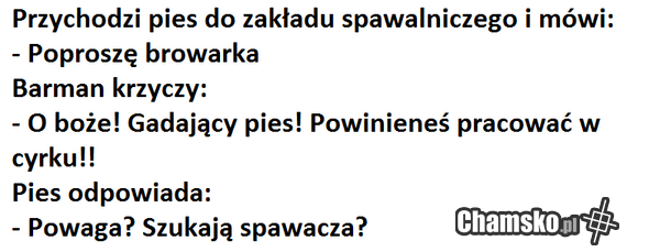 klaszcze jajami o brode