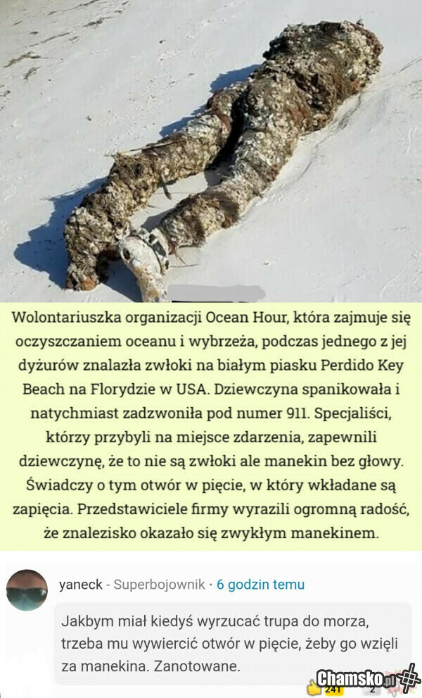 Zwłoki