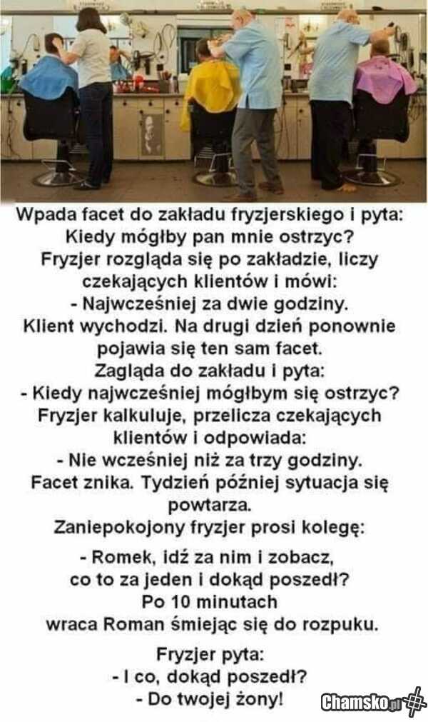 U fryzjera