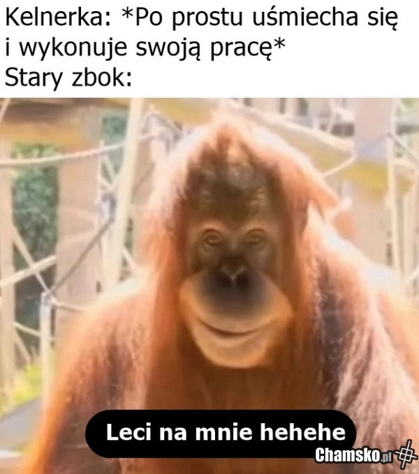 Zbok