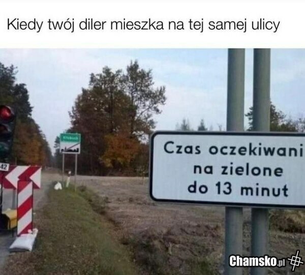 Trawa