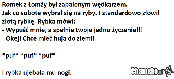 Przygody Grażyny z Łomży cz. LXXV