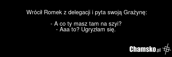 Wrócił Romek z delegacji i pyta swoją Grażynę: - A co ty masz tam na szyi? - Aaa to? Ugryzłam się.