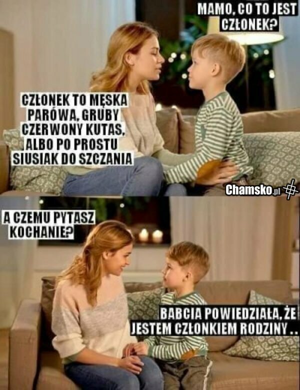 Członek