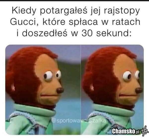 Rajstopy