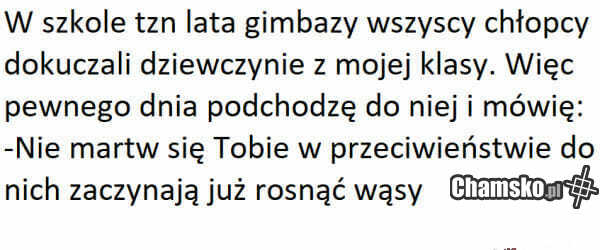 Pocieszyciel