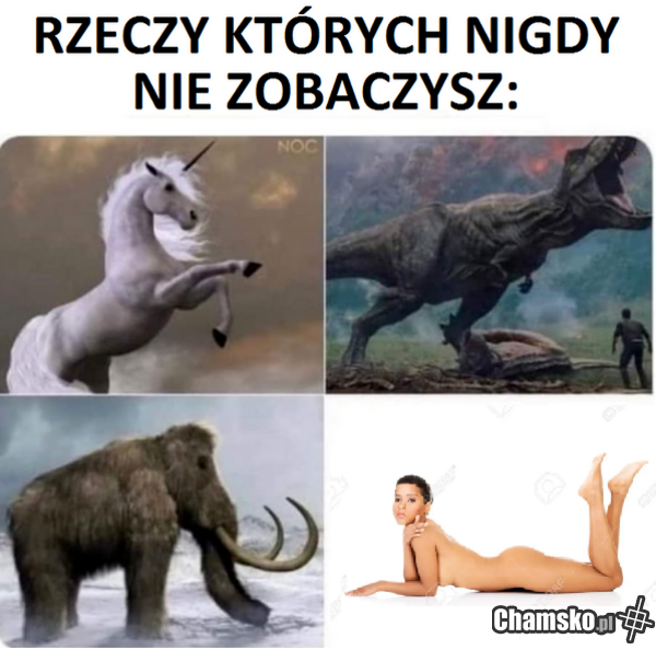 Czego nie zobaczy użytkownik chamsko