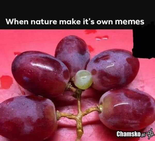 Natura