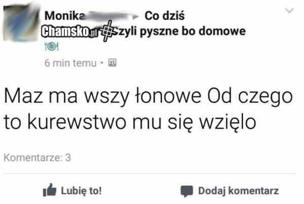 Wszy