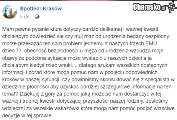 kurwa nie wierze