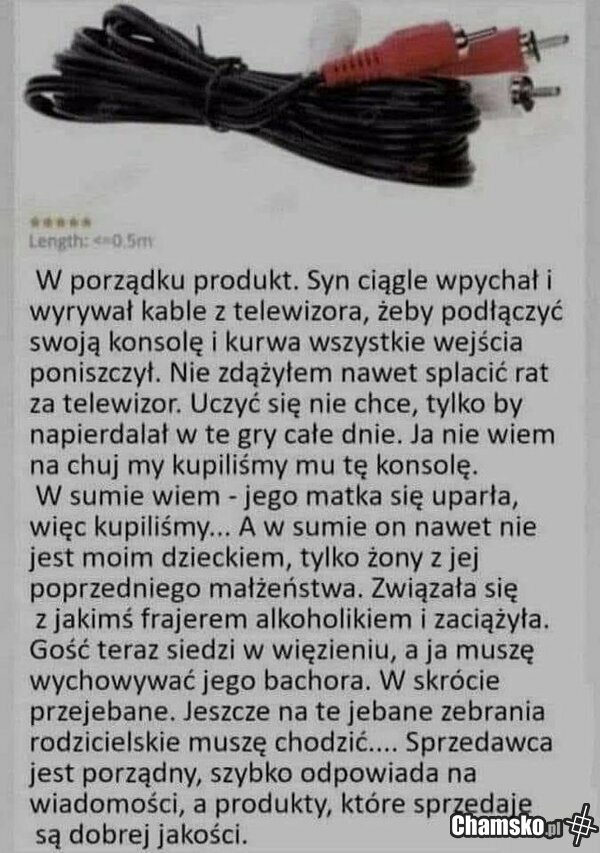 Opinia