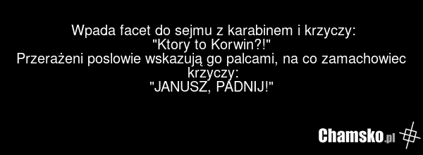 Wpada facet do sejmu z karabinem i krzyczy: "Ktory to Korwin?!" Przerażeni poslowie wskazują go palcami, na co zamachowiec krzyczy: "JANUSZ, PADNIJ!"