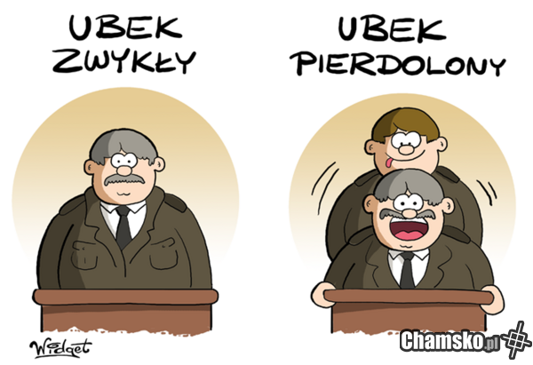 Rodzaje ubeków