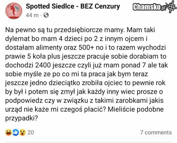 jebać PIS