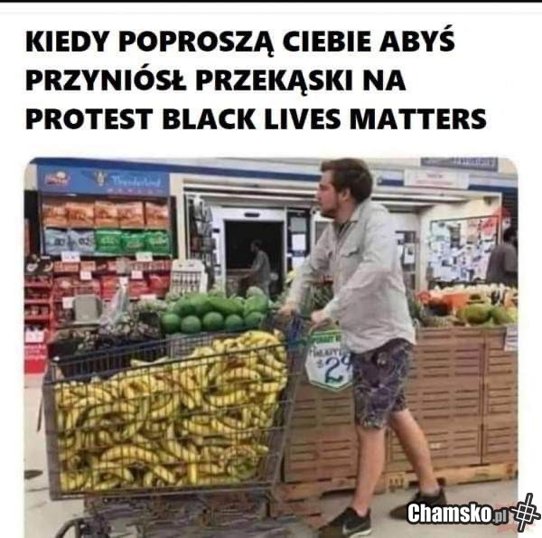 Albo zamieszki